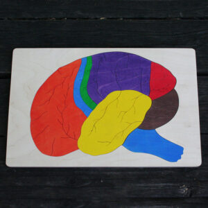 Brain Wooden Puzzle